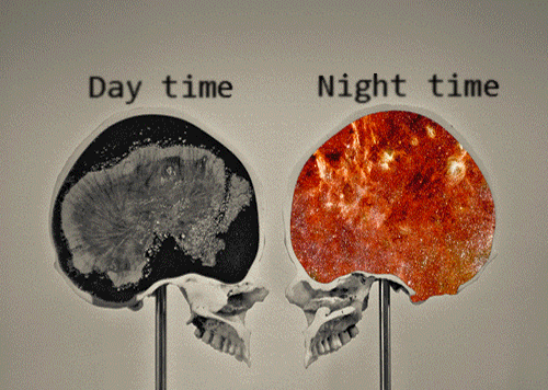 cerebro diurno o nocturno